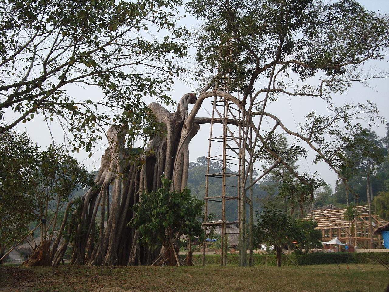 Chiến khu Tân Trào